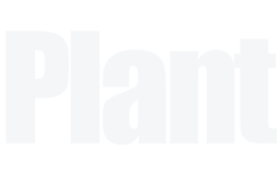 plantの文字画像